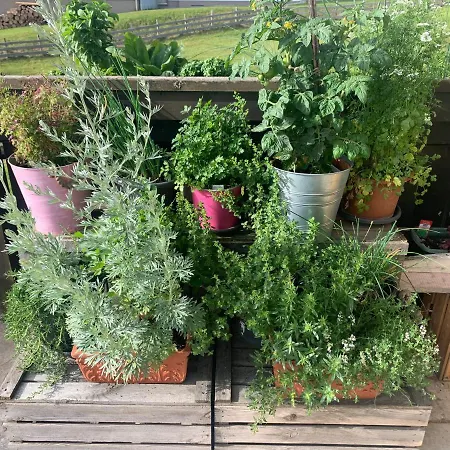 홈스테이 Fruehstueckspension Erika 슈라드밍