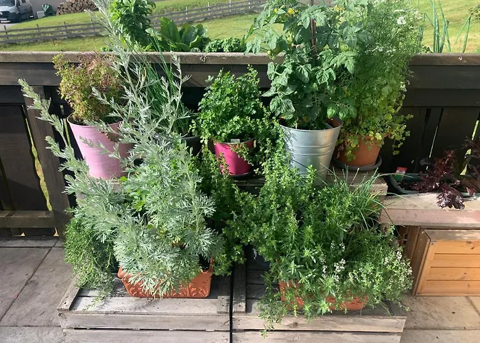 Проживання в сім'ї Fruehstueckspension Erika Шладмінг