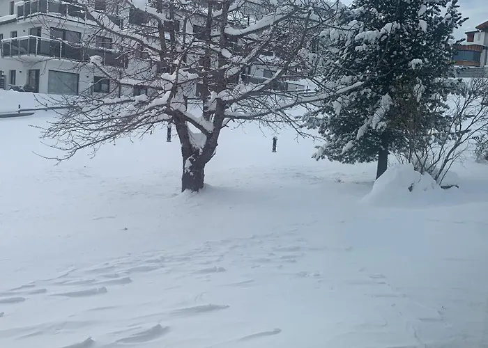 Fruehstueckspension Erika